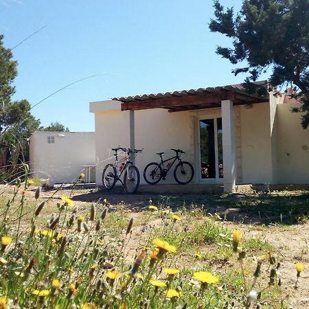 La Casita Yolanda, Ideal Parejas - Formentera Natural San Ferrán de ses Roques Exterior foto